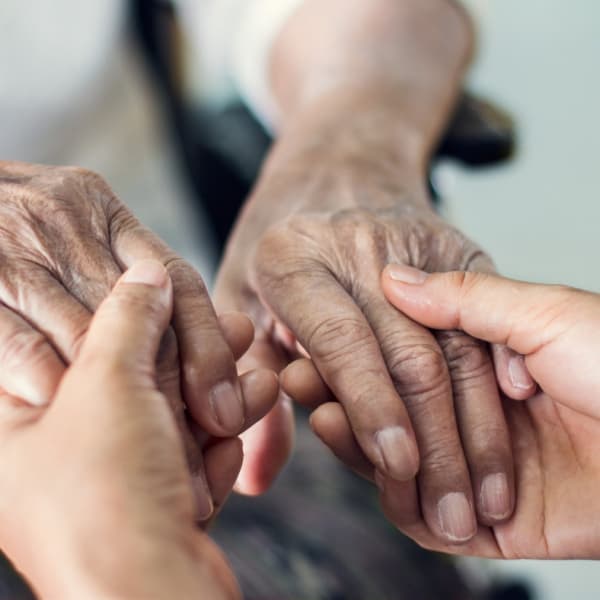 Two pairs of hands holding each other