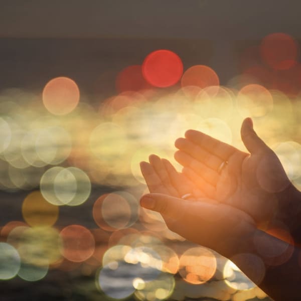 A pair of hands reaching out to a bokeh background