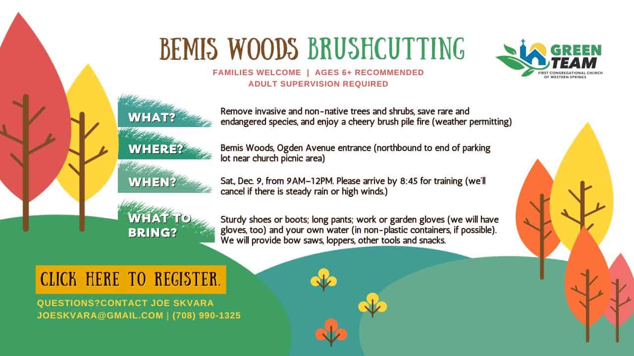 Green Team Brushcutting_YouTube