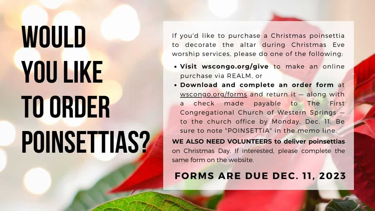 poinsettia donation