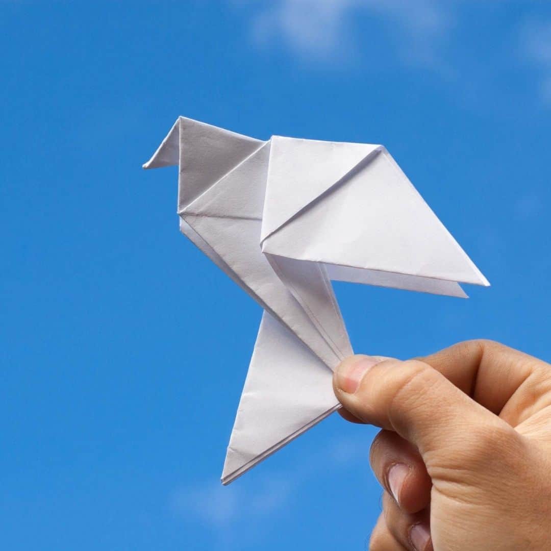 Origami dove workshop