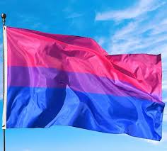 bisexual flag